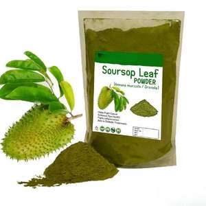 Feuilles de corossol séchées de qualité supérieure Poudre d'extrait de feuille d'annona muricata Source mondiale naturelle du Vietnam - Product Image 3