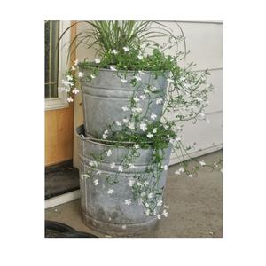 Design admirable forme et taille personnalisées jardinières en métal galvanisé pots de plantes pour accessoires de jardin fournitures à bas prix - Product Image 6