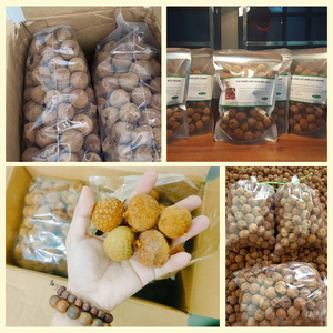 Fruta seca lichi vietnamita superventas sin azúcar añadido bocadillo sin gluten rico en nutrientes para consumidores conscientes al por mayor - Product Image 2