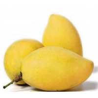[Hot Deal 2023 ] Vietnamese Cat Chu Mango Goed Voor Gezonde Export Kartonnen Verpakking Vietnam Verhandeld Verse Mango 'S