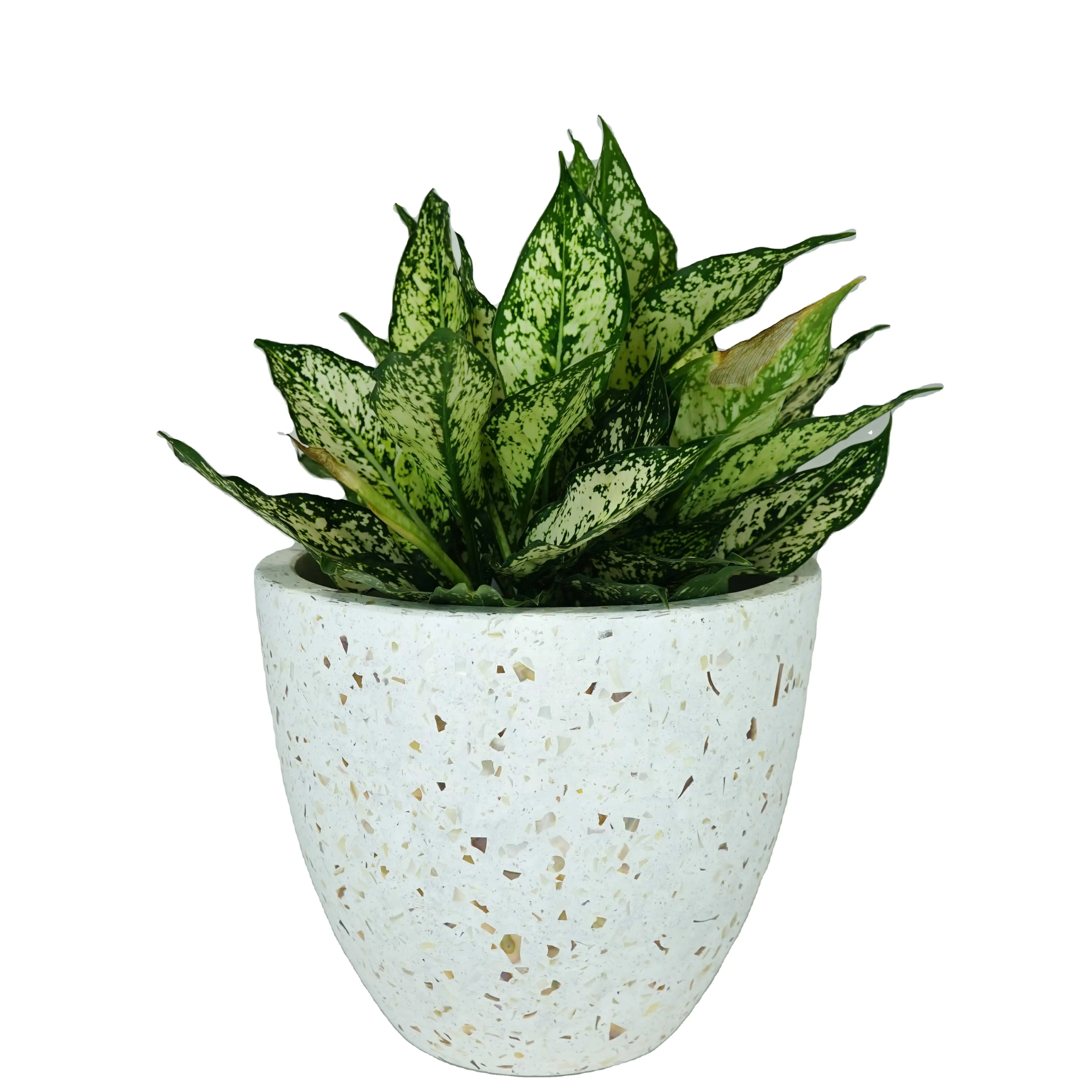 2024 Premium Terrazzo Planters Tr18tps4 Wit Terrazzo Met Zeeafdichting Aggregaten Marmeren Bloempotten Voor Huisdecoratie