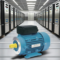 Moteur à induction monophasé à haut rendement 230V 50/60Hz entièrement fermé en aluminium IE1 0,5kW 1500/3000 tr/min Montage au pied