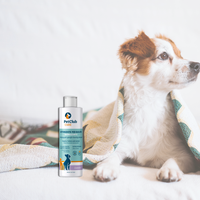 Détergent à lessive écologique Pet Club Care 500ml Lavande Formule concentrée sans danger pour les animaux Ingrédient hautement actif pour les taches