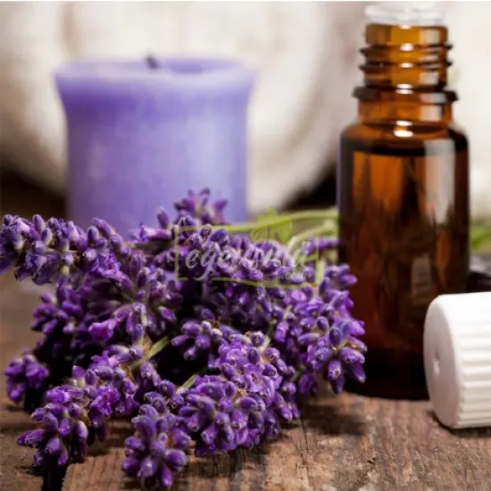 Lavendel 100% reines ätherisches Öl Massage öl Bulk Bio Aroma Diffusor für Home Office Spa Günstigere Preise Natürlicher Duft