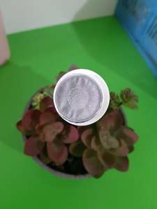 Película de Sellado de Aluminio SAM LAN PS, Fácil de Despegar, Apta para Alimentos, Material Compuesto de Aluminio, Sellado por Inducción de Calor, Tapas para Botellas - Product Image 5