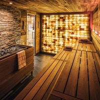 Briques et carreaux de sel de l'Himalaya naturel bio de haute qualité 2025, sculptés, écologiques, personnalisables, les plus vendus, pour la maison, les entreprises et les cadeaux