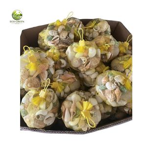 ถุงเปลือกหอยทะเลธรรมชาติผสม สำหรับงานฝีมือ DIY ตกแต่งบ้านชายหาด ขายส่ง ถุงเปลือกหอยประดับตกแต่ง ตู้ปลา - Product Image 5