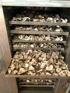 ชาทุเรียนเทศแห้งผสมผสานระหว่างรสชาติเขตร้อนและประโยชน์ต่อสุขภาพอย่างลงตัว - Product Image 4