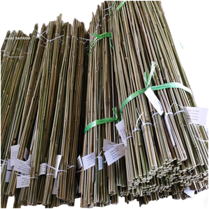 Petits intraoculaires en bambou de 6 à 8mm, dimensions de 8 à 10mm et 90cm, élément de tuckage - Product Image 1