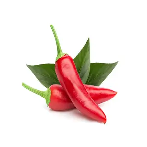 Wholesale Green Red Chilli Pepper High Quality Fresh Red Chili Wholesale Dried Chilli