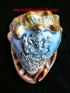 cassis rufa carving Ganesha God <b>Ornament</b> style SEASHELL JEWELRY Style Ganesha God <b>Ornament</b> <b>Shell</b> Motive Carving - Product Image 6