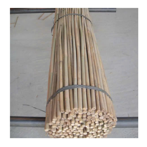 Postes de bambú natural duraderos para estructuras decorativas y diseño de eventos Postes de bambú Premium para proyectos versátiles - Product Image 6