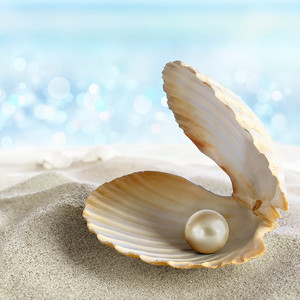 POLVO DE PERLAS-EXPORTACIÓN EN POLVO DE PERLAS A GRANEL DE PROVEEDOR VIETNAMÉS - Product Image 6