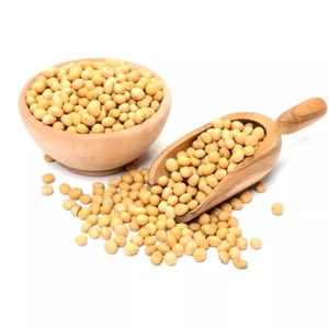 Granos de soja, semillas de soja, alta proteína, listo para la exportación - Product Image 3