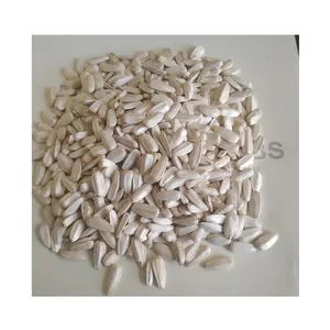 Direct Supply Bulk Quantity 100% Natural Quality Egyptian Wholesale White Sunflower Seeds for Wholesale Buyers