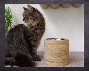 Elevated Cat Bowl Stannd/ Bamboo Bowl Made in Vietnam - Product Image 5