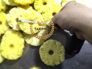 Rodajas y Trozos de Piña Enlatada Tipo Cayenne Queen en Almíbar Ligero - 14-17% Brix Origen Vietnam - Product Image 4