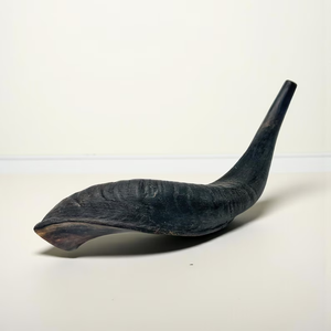 Standard Quality Polished Eco-Friendly Ram Drinking <b>Horn</b> Decorative <b>Horn</b> Pair for Worldwide Export India <b>Buffalo</b> <b>Horn</b> Saniya - Product Image 4