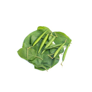 ใบสดจากสมุนไพรคุณภาพระดับพรีเมี่ยมสำหรับอาหารรสเลิศและการรักษาแบบดั้งเดิม - Product Image 2