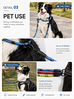 Laisse pour chien en nylon réfléchissant, robuste et durable pour la sécurité nocturne et les promenades en extérieur