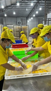 Mangue séchée en grand sac ingrédient en mixologie mangue à faible teneur en sucre origine Vietnam - Product Image 5