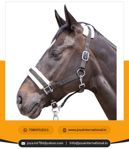 Eadcollar exuberante con añadido para coche, accesorio plegable de ndia - Product Image 3