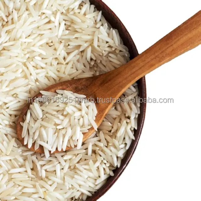 Harga grosir nasi Basmati India pembelian jumlah besar pemasok beras Basmati gandum sedang dari India