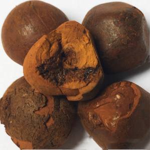 oxcowgallstone