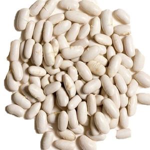Haricots blancs de qualité supérieure, naturels, en gros, de qualité supérieure, pour l'exportation, haricots blancs de grande taille, de haute qualité - Product Image 6