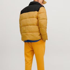 Automne hiver doudoune grande taille manteau en duvet d'oie col debout motif imperméable décoré veste bouffante - Product Image 3