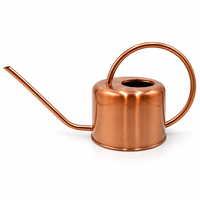 Arrosoir en métal de 1 L avec long bec verseur et poignée en boucle pour plantes d'intérieur, couleurs argent, or et cuivre