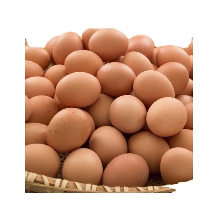 Großhandel Chicken Table Eggs Preis Tier produkte Eier Bester Preis Beste Qualität Farm Fresh Chicken Table Eggs