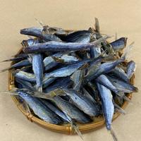 Poisson volant séché salé traditionnel, moins salé, distribué en grande quantité
