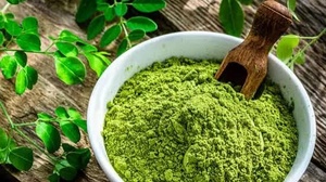 Poudre de feuilles de Moringa Oleifera de qualité alimentaire OEM HP Valia, 100% pure, naturelle, fine, complément alimentaire à base de plantes vertes - Product Image 5