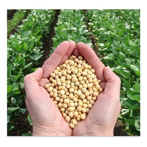 Soja Amarilla Orgánica Deshidratada con Alto Contenido de Proteína, Paquete a Granel - Product Image 5