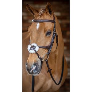 Bride de Cavesson surélevée rembourrée pour cheval Marron avec rênes en caoutchouc Havana ou Noir Bride en cuir de haute qualité pour cheval - Product Image 6