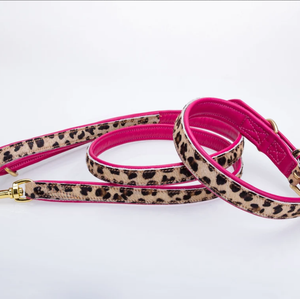 Collier de chien en cuir plat rembourré imprimé léopard poire tannerie collier de chien pour lévrier et Whippet - Product Image 3