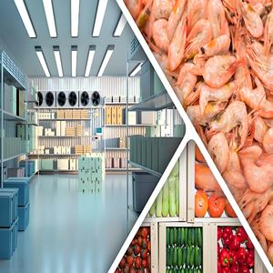 Entrepôt frigorifique de 1000 tonnes, conception moderne personnalisée en usine, grand entrepôt frigorifique pour la conservation des légumes - Product Image 6