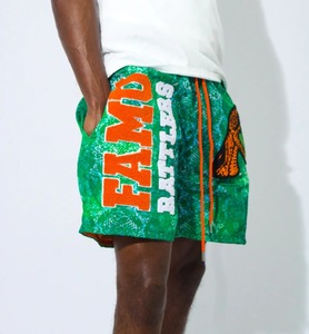 B2B Pantalones cortos universitarios bordados personalizados Florida A & M Pantalones cortos universitarios FAMU Alumni Pantalones cortos de baloncesto para hombres - Product Image 3