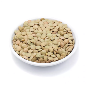 Lentilles vertes/Lentilles vertes biologiques prêtes à l'exportation - Product Image 4