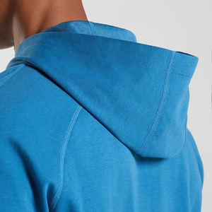 Sweat à capuche uni vierge Street Wear en vrac avec style pull en gros 100% coton sweat-shirt avec logo personnalisé fournisseur de vêtements OEM - Product Image 6