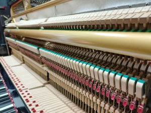 Piano droit Kawai BS2A fabriqué au Japon pour performances professionnelles, livraison mondiale disponible, plancher de sonorisation en bois massif DS60 - Product Image 5