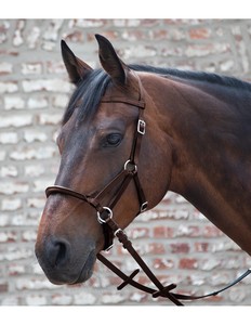 Banda para la nariz rígida con brida Bitless, que protege la boca del caballo. - Product Image 1