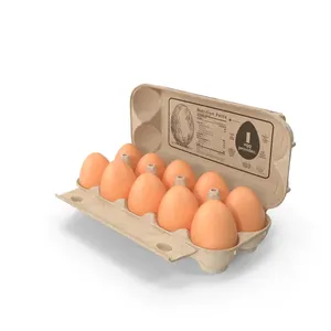 Oeufs de table blancs frais de haute qualité, grands et petits d'Autriche avec une durée de conservation de 6 mois à vendre - Product Image 6