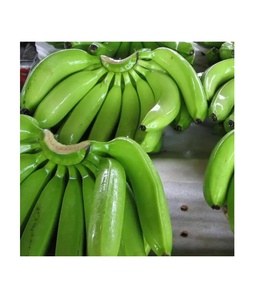 Bananes Cavendish vertes fraîches biologiques prêtes pour la chaîne du froid, 10 kg, qualité A - Product Image 4