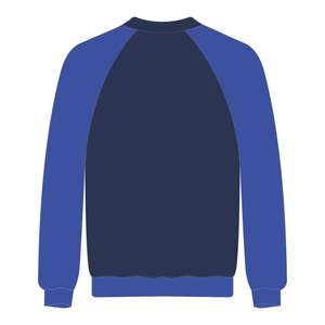 HBCU Educated <b>Navy</b> Blue Raglan Sleeves Sweatshirt Chenille Embroidery Greek Sorority Divine Nine Collegiate Pride Custom Logo - Product Image 3