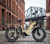 Moteur 1000W Autonomie 100km Longue Portée Livraison Messagerie Vélo Électrique Pneus Larges Vente en Gros