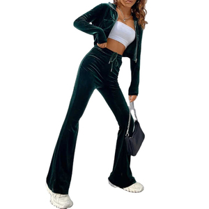 2025 OEM survêtement femmes 2 pièces ensembles fermeture éclair velours culture ensemble femmes tenue velours survêtements - Product Image 4