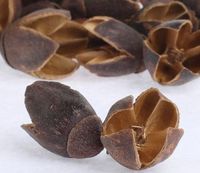 Potpourri Bakuli Kering Alami Berkualitas Tinggi Grosir Ramah Lingkungan Tahan Air Untuk Dalam/Luar Ruangan Hari Wisuda Hari Ibu