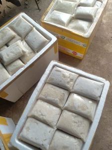 GROSSEURS DE FRUIT DE LA PÉPINIERE CONGELÉS DE QUALITÉ SUPÉRIEURE, MORCEAUX ET PURÉ DE FRUIT DE LA PÉPINIERE POUR SMOOTHIES, DESSERTS, BOISSONS ET EXPORTATION // Mme Lily Ngo - Product Image 3